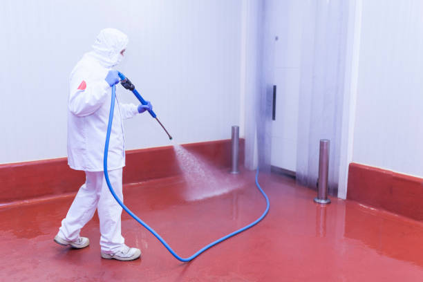 Best Paint Preparation  in Baytown, TX